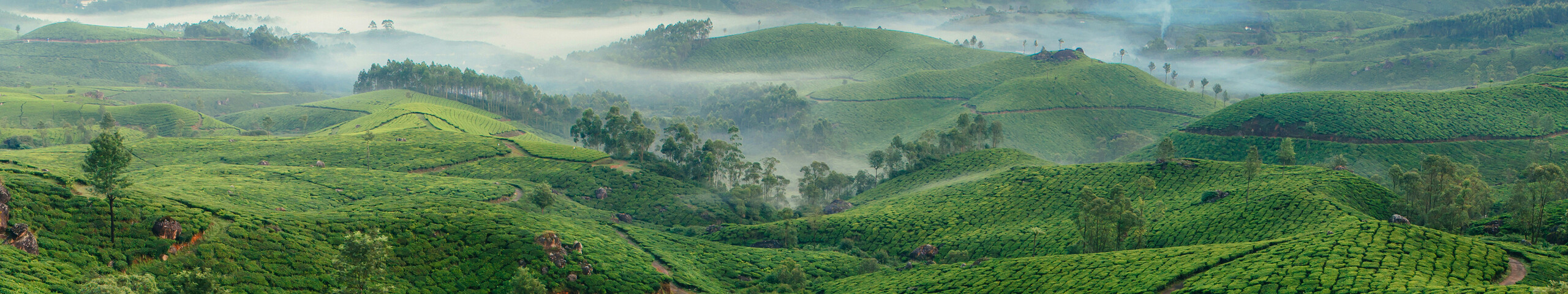 India landscape