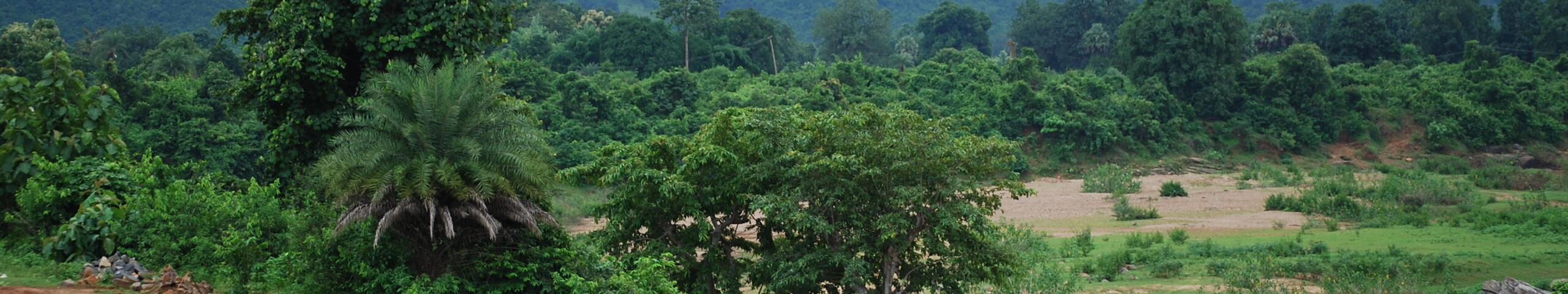 India Orissa