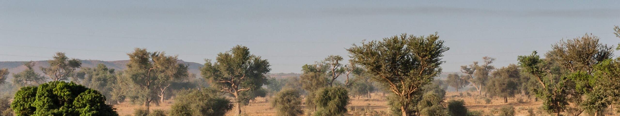Niger landscape