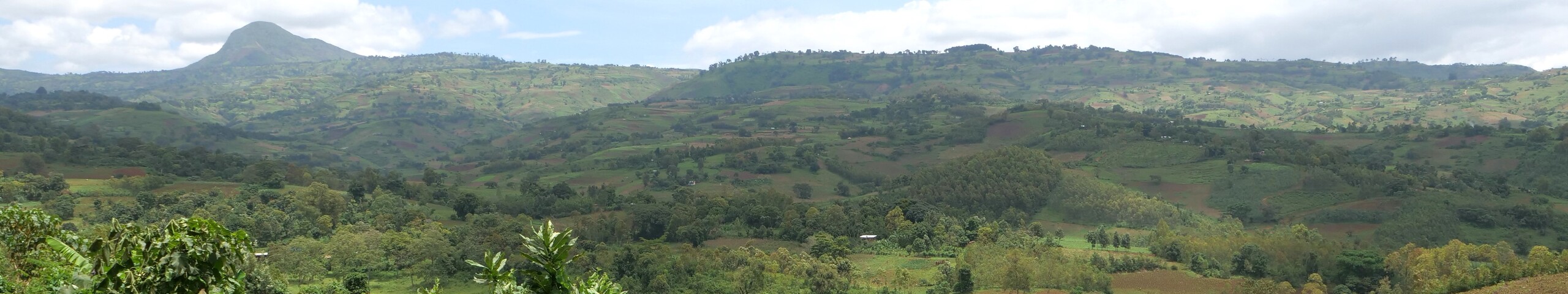 Sout Ari Woreda