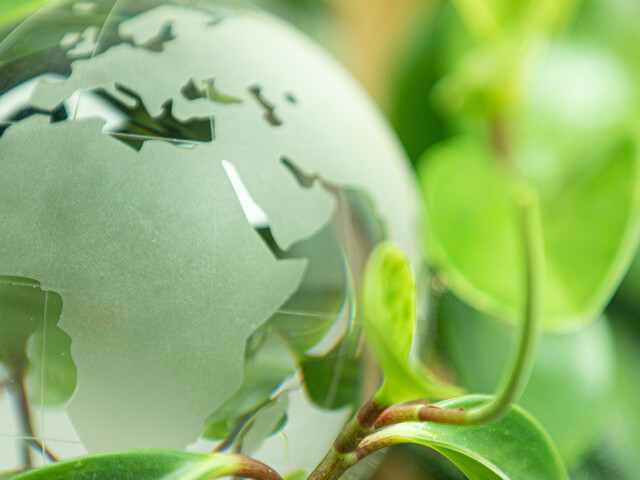 Globe
