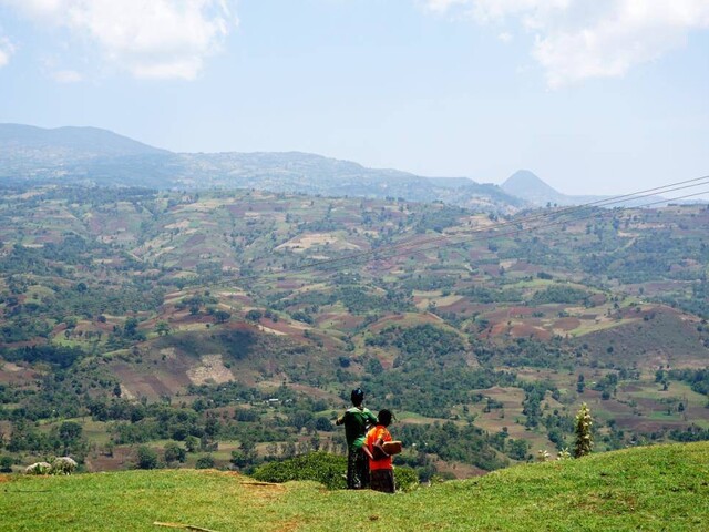South Ari