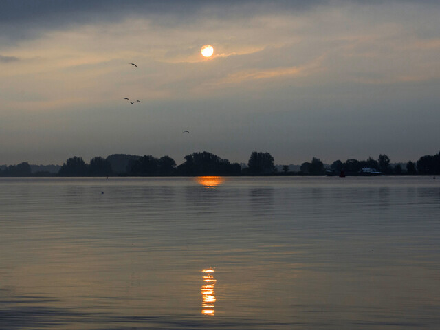 Landscape Netherlands
