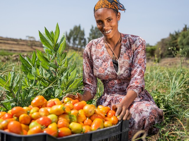 Woman showing her harvested tomatoes (photo Max Foundation)
