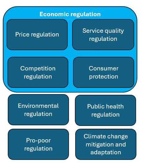 inputs for economic regulation