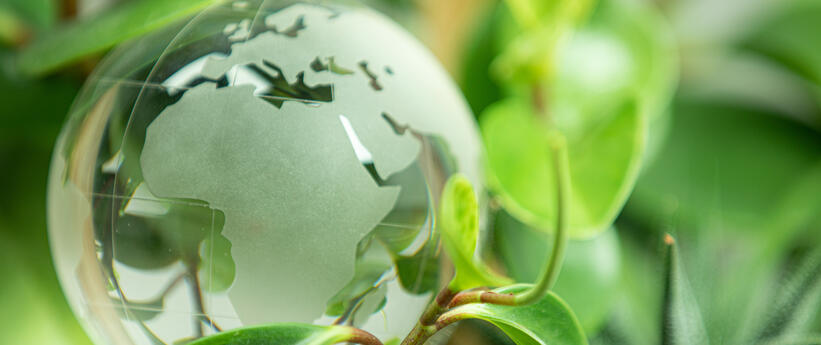 Globe