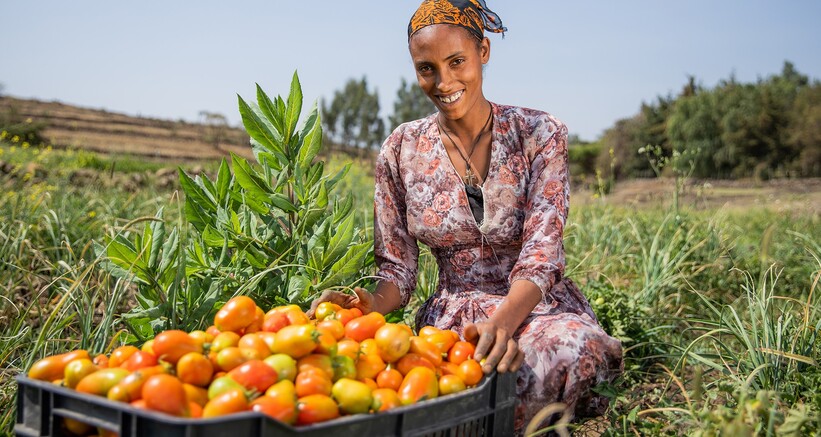 Woman showing her harvested tomatoes (photo Max Foundation)