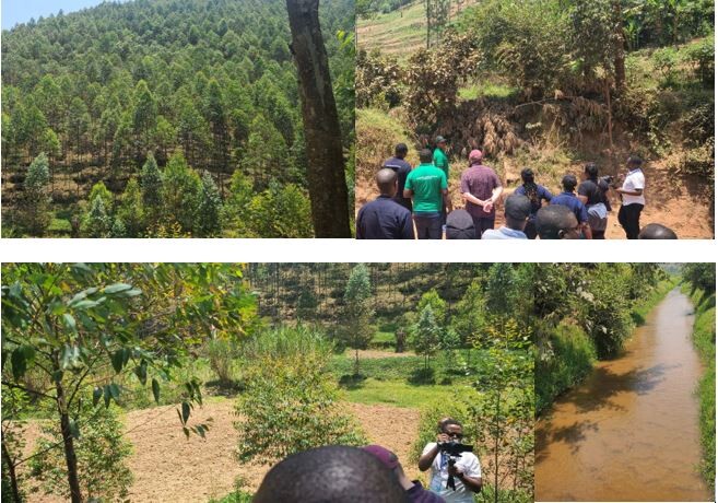 Participants engaged in the field visit