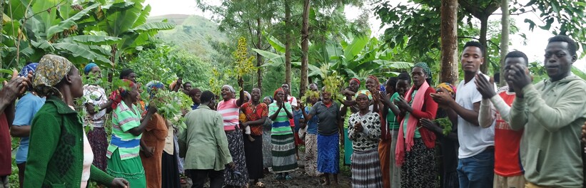 Bergamer Village, Sida kebele residents welcoming guests with traditional dancing 