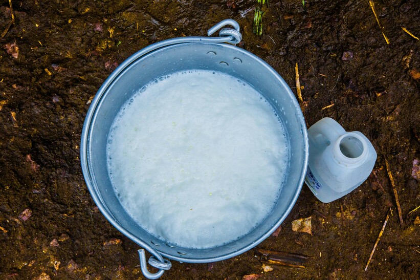 Water bowl with soap Water bowl with soap