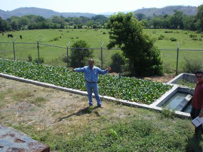 Jose Miguel explaining the functioning of the wastewater treatment plant