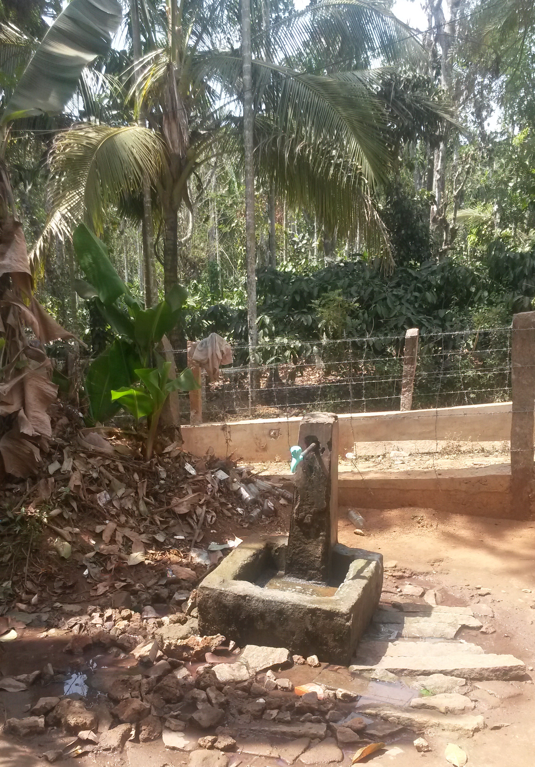 Standpost for the tribal households in Village Nenmeni, Kerala Standpost for the tribal households in Village Nenmeni, Kerala