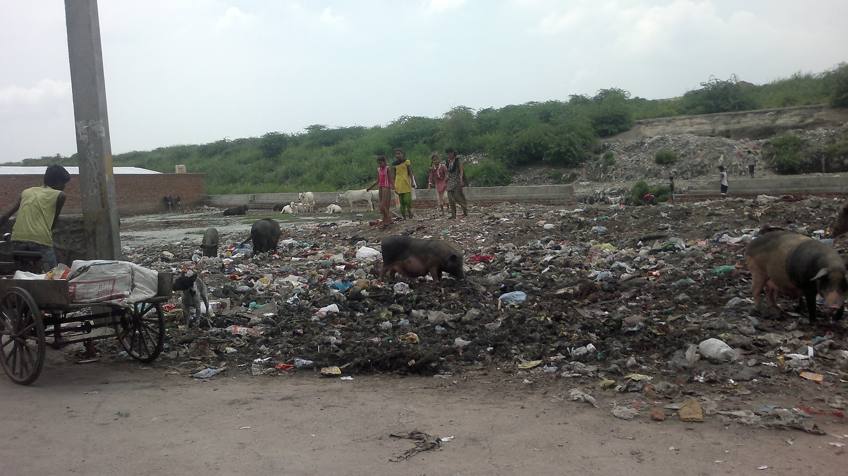 Open defecation in New Delhi