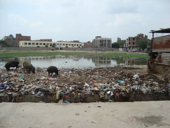 Open defecation area or water loo? Open defecation area or water loo?