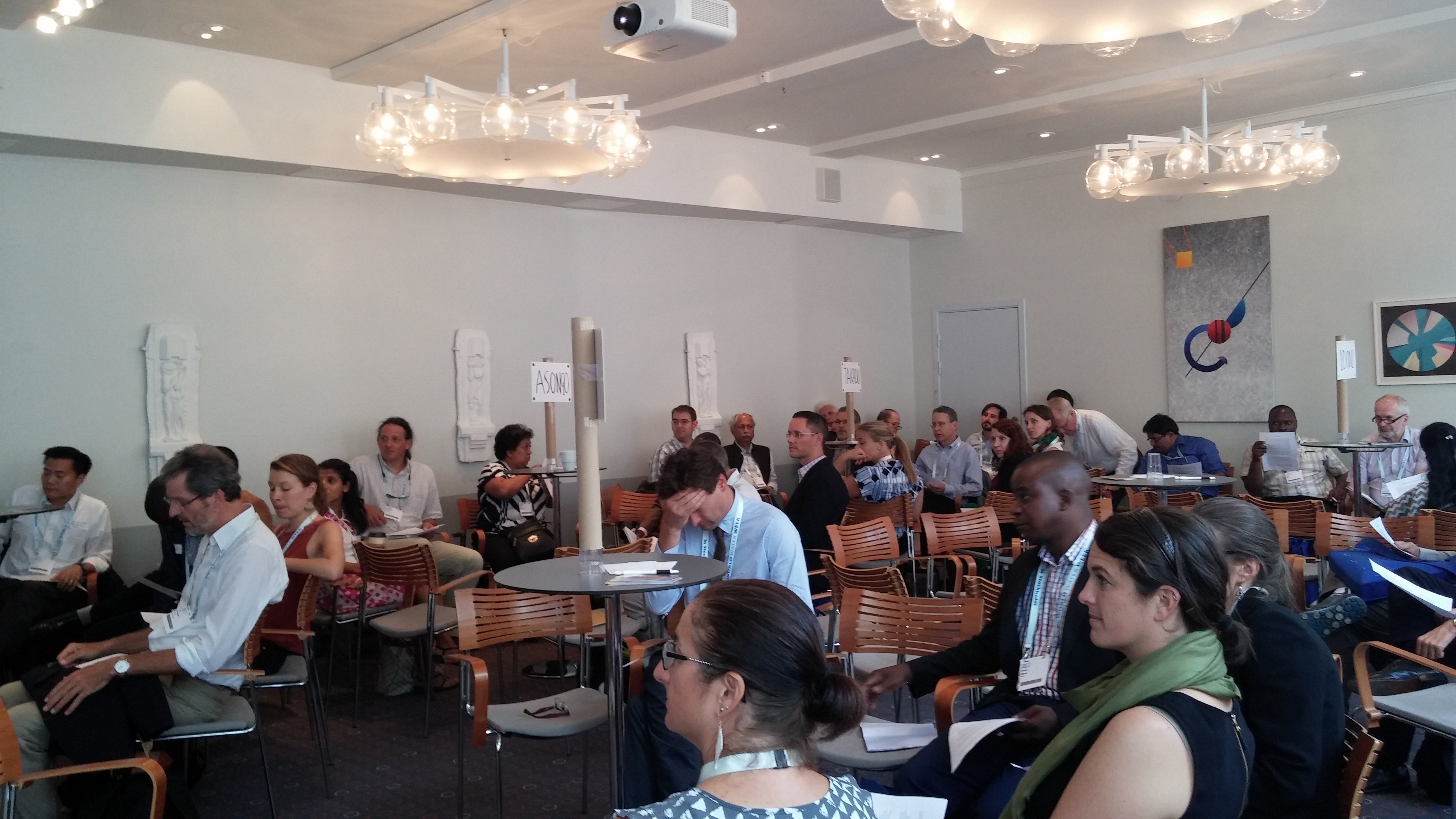 Public finance session, Stockholm World Water Week 2015