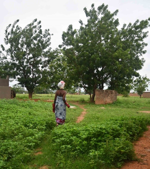 Rural areas of Banfora, photo credit: Anne Mimault, 2017 Rural areas of Banfora, photo credit: Anne Mimault, 2017