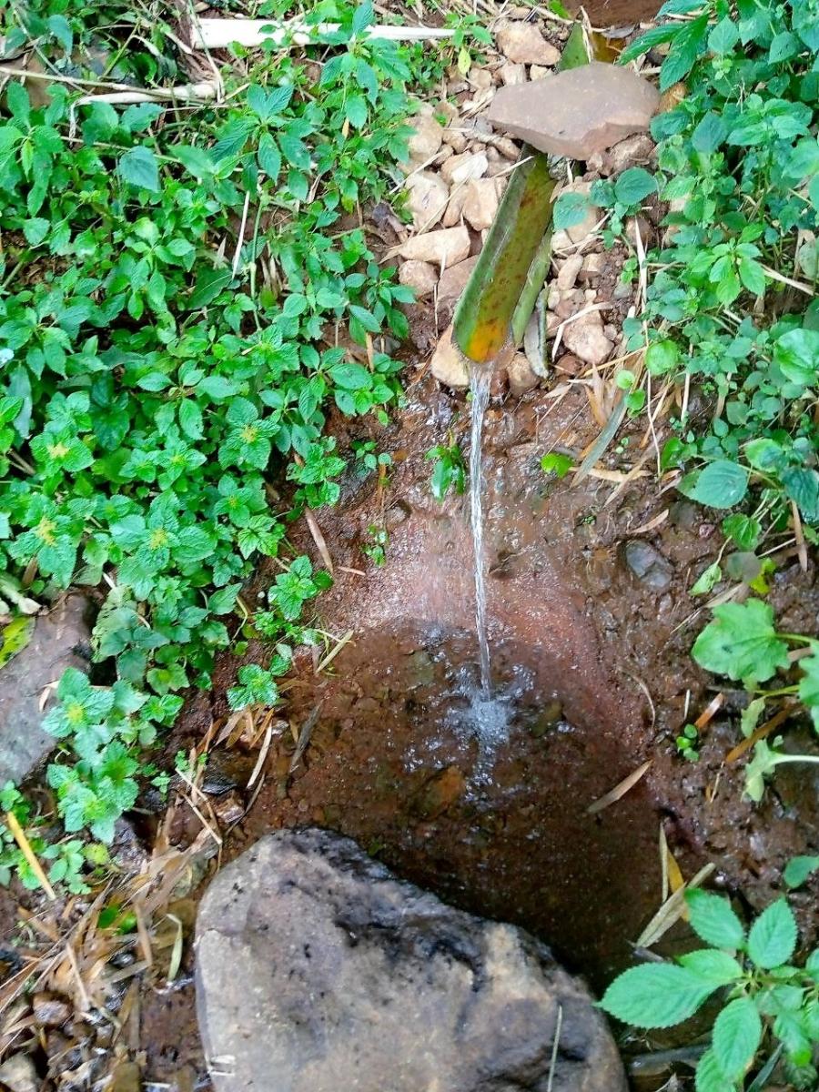 Water spring