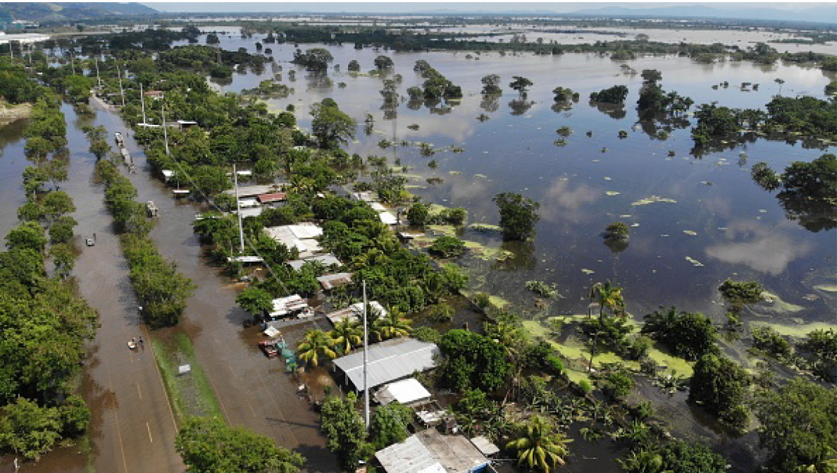 Aerial view of destruction