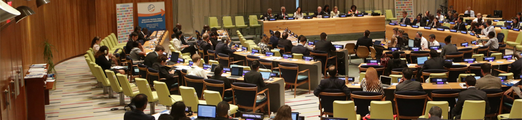 High-Level Political Forum