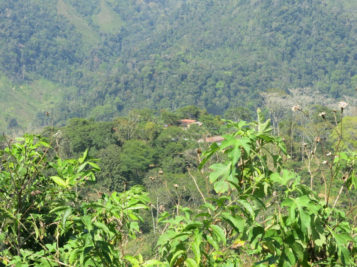 View on one group of three houses that make up Rivera de las Minas