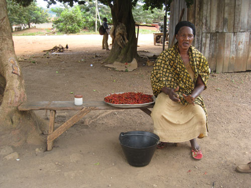 Mrs. Susana with her petty cash container, explaining she would like to have a limited mechanised borehole