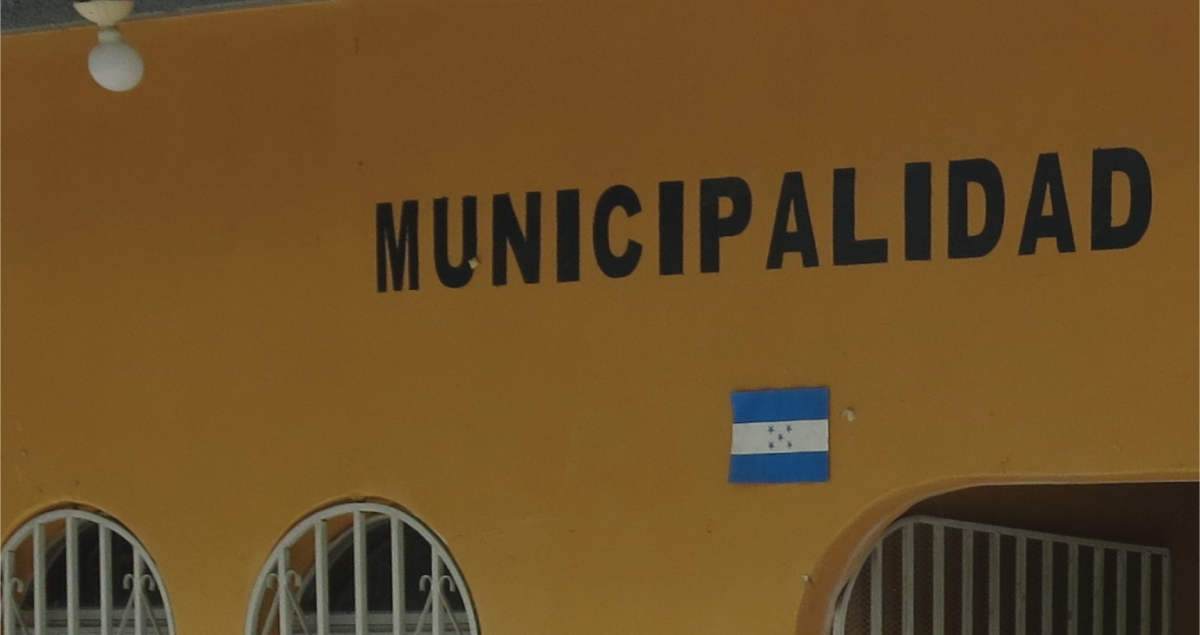 local political leadership or a fool-proof system