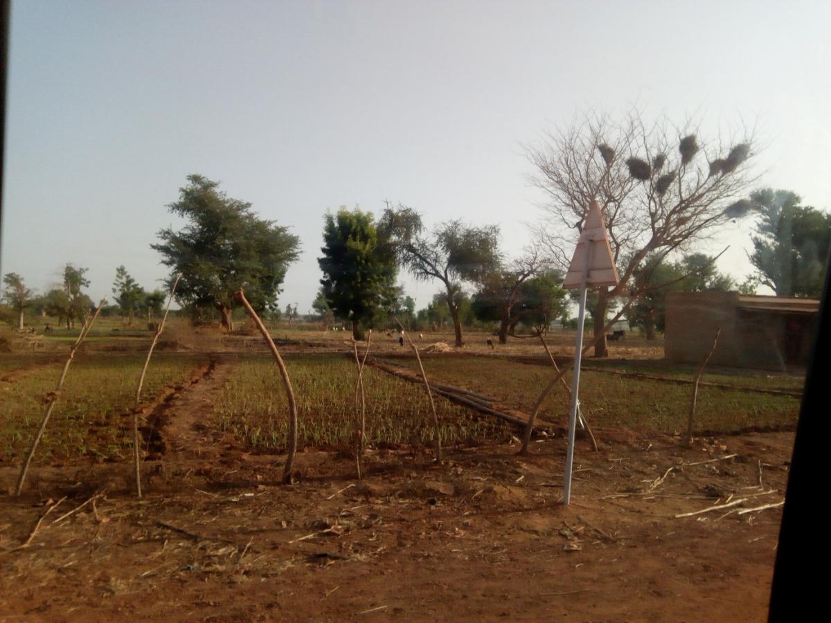 Un potager Un potager