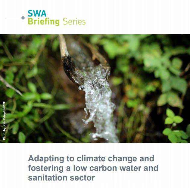 SWA Briefing Series