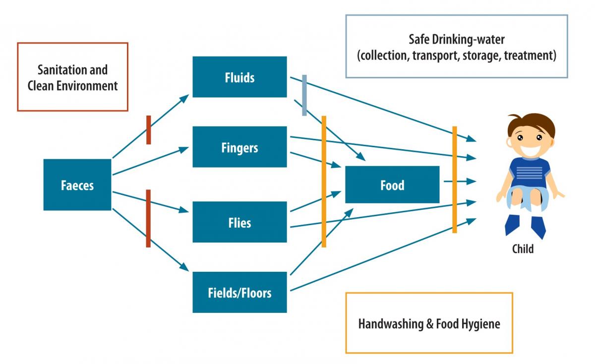 Figure 1: WASH interventions create barriers that prevent children from faecal pathogens. Sanitation and a clean environment is the primary barrier (Source: WHO, UNICEF & USAID, 2015). Figure: WASH intervention barriers preventing children from faecal pathogens